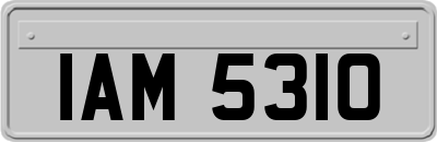 IAM5310