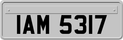 IAM5317