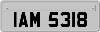 IAM5318