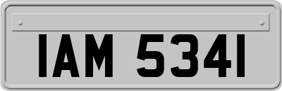 IAM5341
