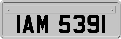 IAM5391