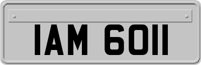 IAM6011