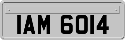 IAM6014