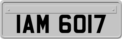 IAM6017