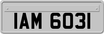 IAM6031
