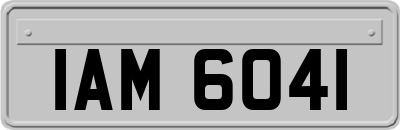 IAM6041