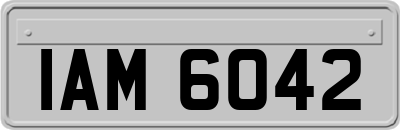 IAM6042