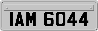 IAM6044
