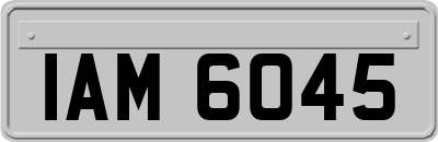 IAM6045