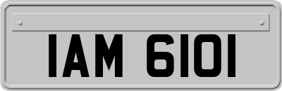 IAM6101