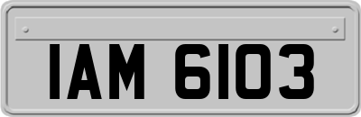 IAM6103