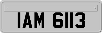 IAM6113