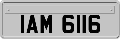 IAM6116