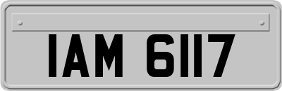 IAM6117