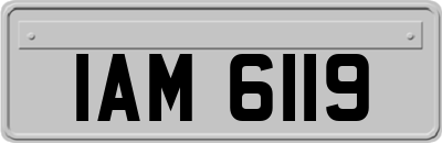 IAM6119