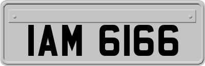IAM6166
