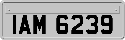 IAM6239