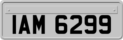 IAM6299