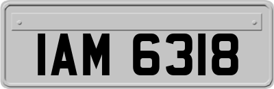 IAM6318