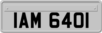 IAM6401