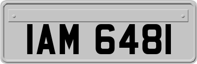 IAM6481