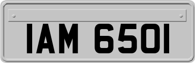 IAM6501