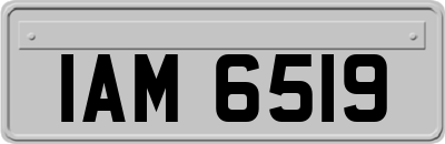 IAM6519