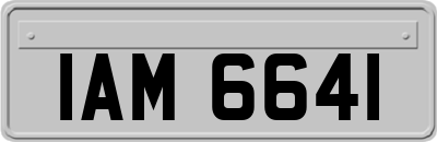 IAM6641