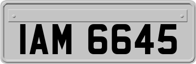 IAM6645