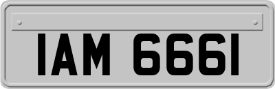 IAM6661