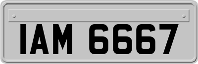 IAM6667