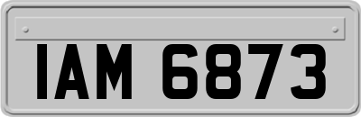 IAM6873
