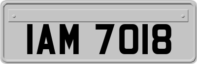 IAM7018