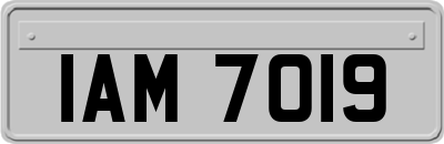 IAM7019
