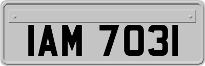 IAM7031