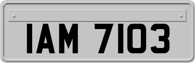 IAM7103