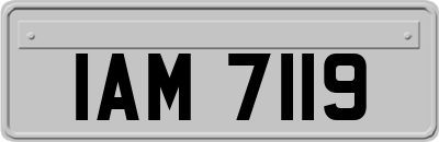 IAM7119