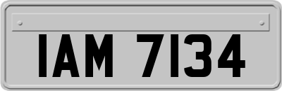 IAM7134