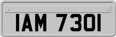 IAM7301