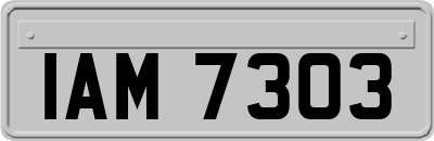 IAM7303
