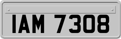 IAM7308
