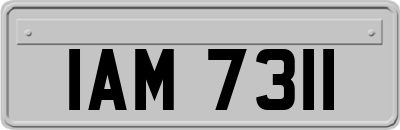 IAM7311