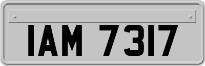IAM7317
