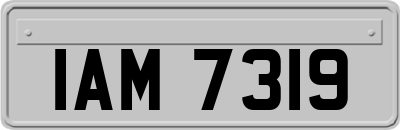 IAM7319