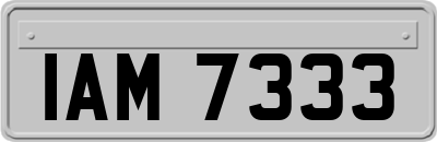 IAM7333