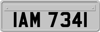 IAM7341