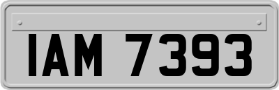 IAM7393