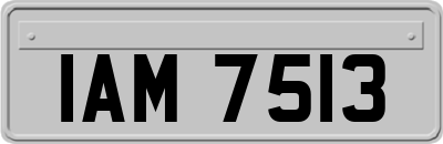 IAM7513
