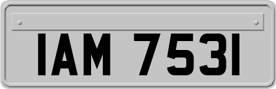 IAM7531