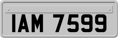 IAM7599